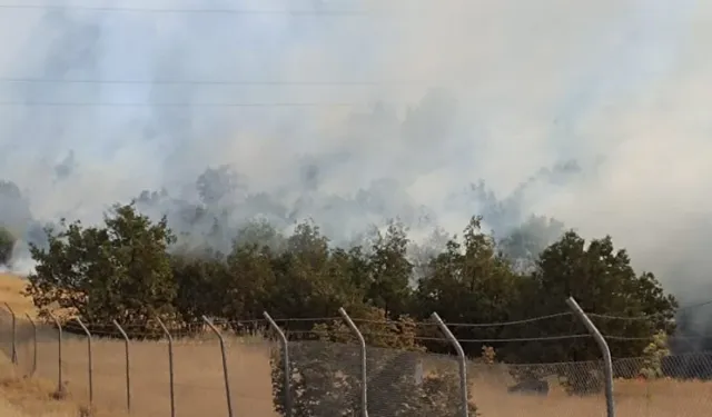 Şırnak'ta örtü yangını çıktı
