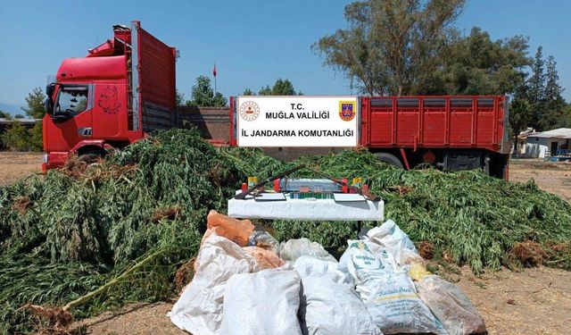 Muğla'da uyuşturucu operasyonu