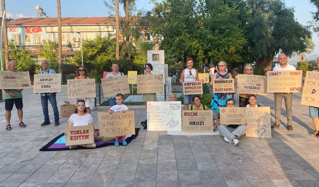 Hayvan Hakları Savunucularının "Sessiz Eylemi"