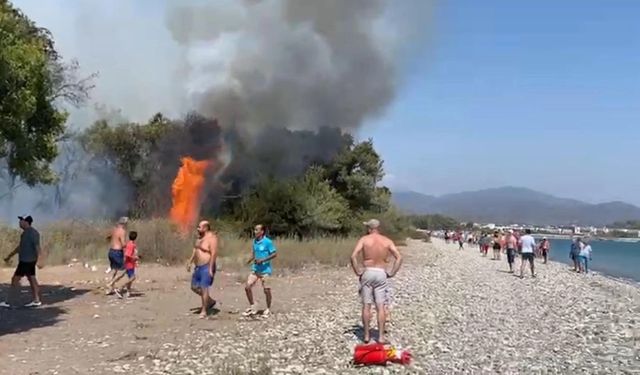 Fethiye'de orman yangını!