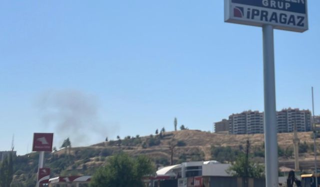 Mamak'ta Otluk Alanda Yangın Paniği!