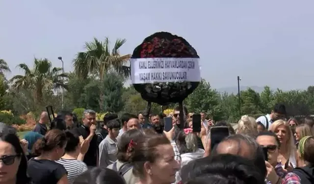 Yaşam Savunucuları'ndan Protesto!