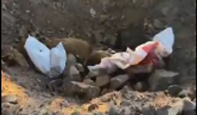 Zonguldak’ta Hayvan Barınağında Korkunç Görüntüler!