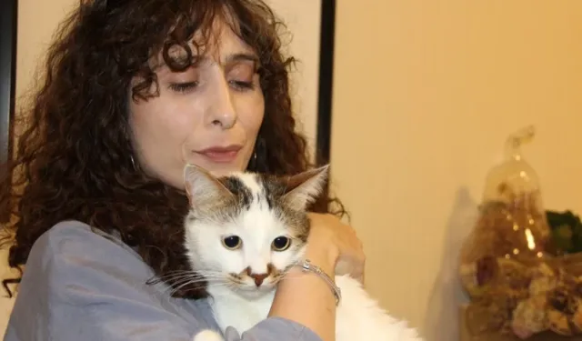 Sivas’ta Depresyona Giren Kedi Antidepresanla Tedavi Edildi