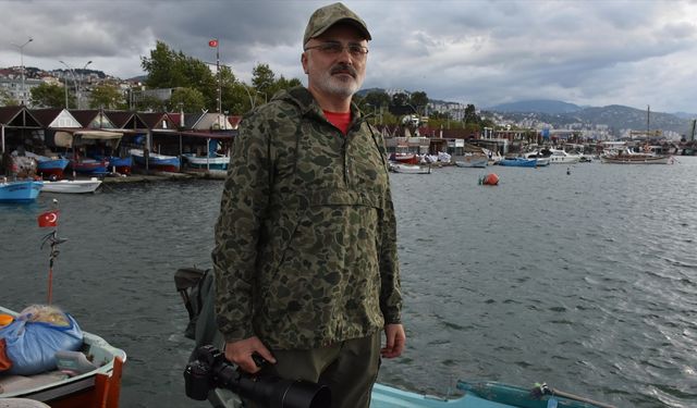 Gazinin objektifine kuş türleri yansıyor