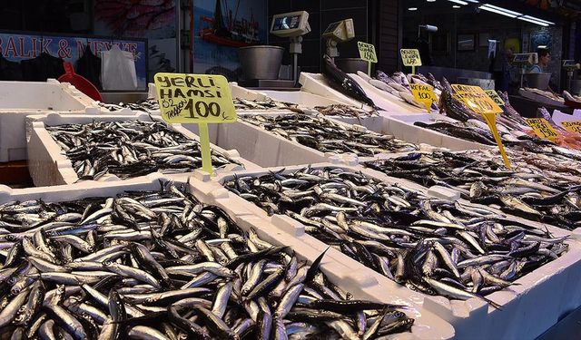 Trabzon’da Hamsi 100 Lira