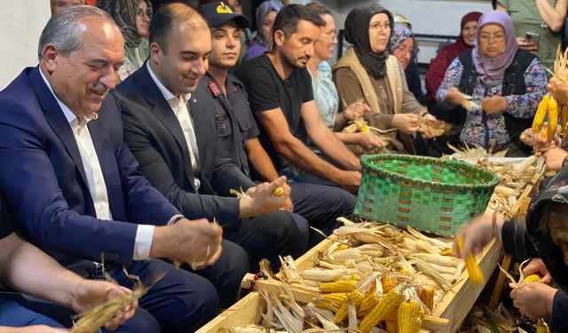2 asırlık gelenek; 3 saat boyunca topluca mısır soydular!