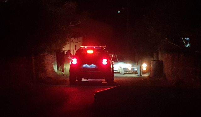 Adana’da Düğün Kavgası: 2 Kişi Yaralandı