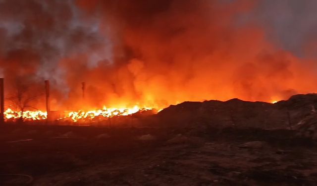 Adana'da fabrikada yangın çıktı