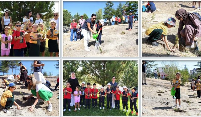 Ankara'da öğrenciler fidan dikti