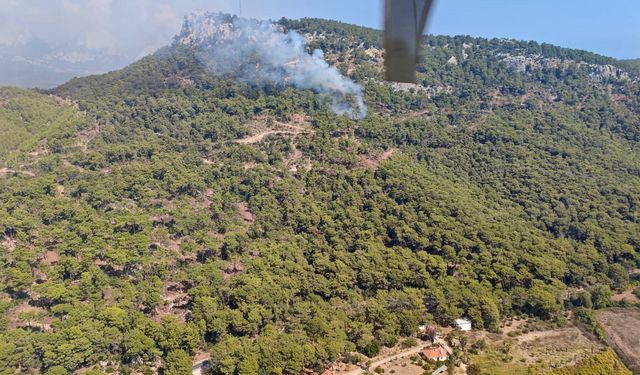 Antalya'da orman yangını çıktı