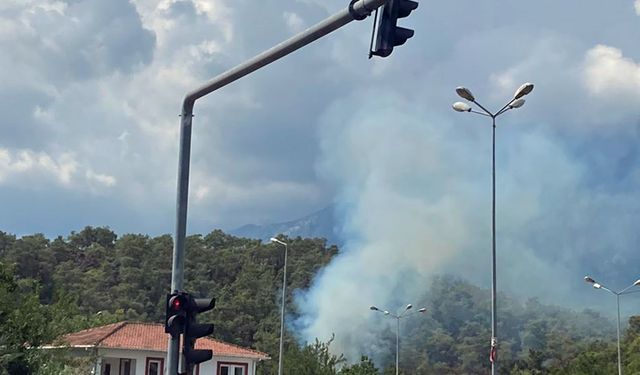 Antalya'da orman yangını