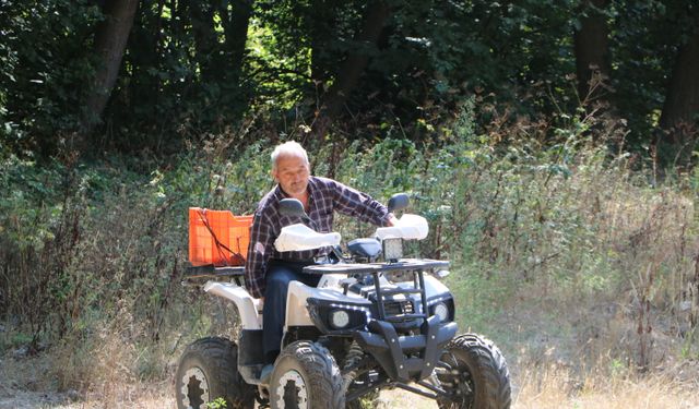 Ayı saldırısına uğradı!