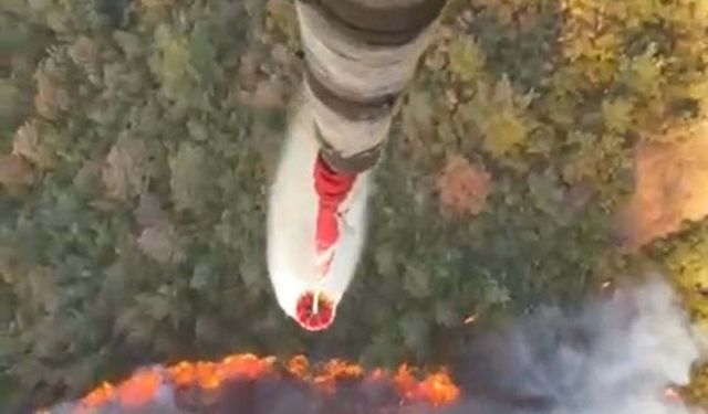 Balıkesir'de orman yangını çıktı!