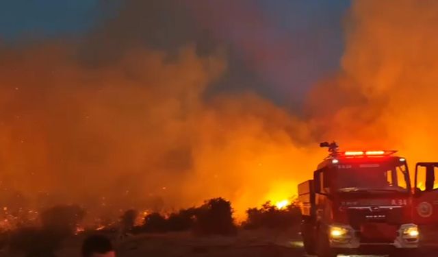 Balıkesir'deki orman yangını söndürüldü