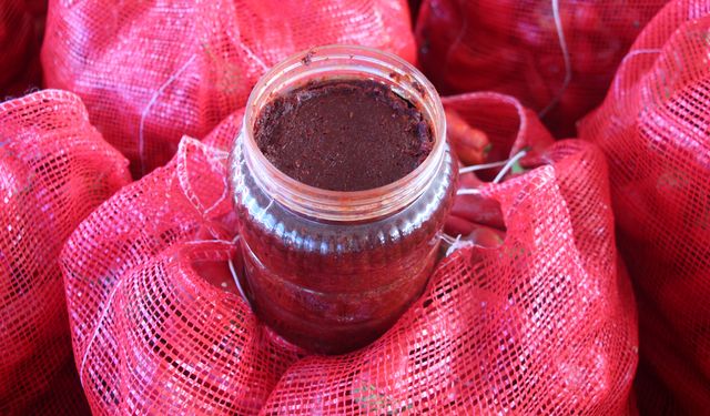 Biberin salça yolculuğu başladı