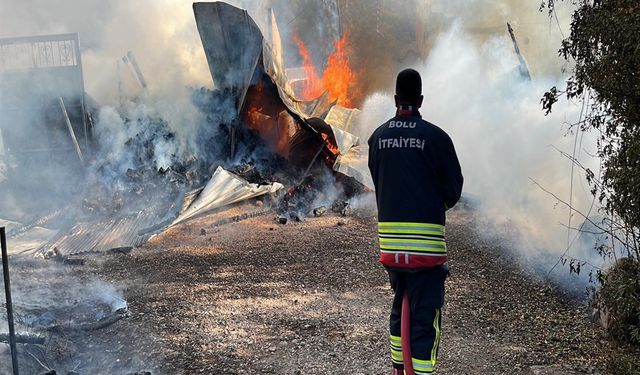 Bolu'da damat 12 yapıyı yaktı!