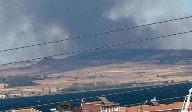 Çanakkale'de orman yangını