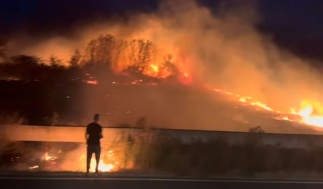Edirne'de buğday tarlasındaki yangın söndürüldü