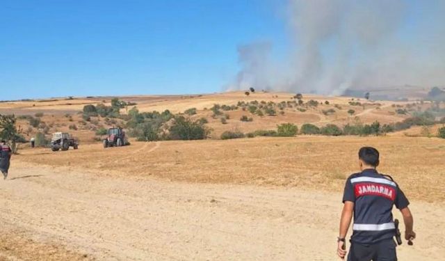 İpsala’da Buğday Tarlasında Yangın