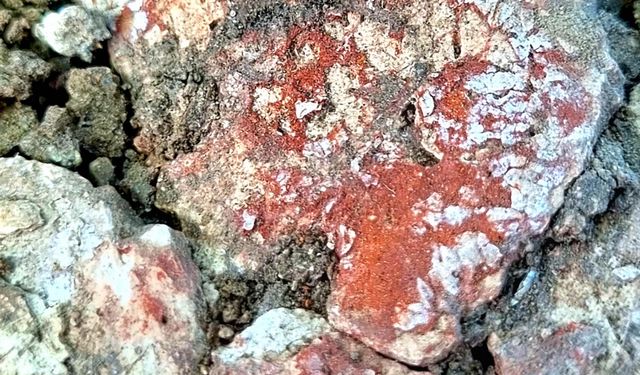 Ergani’de Tarihi Keşif: 9 Bin Yıllık Yapı Gün Yüzüne Çıktı