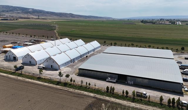 Eskişehir'de hayvan pazarı kapatıldı