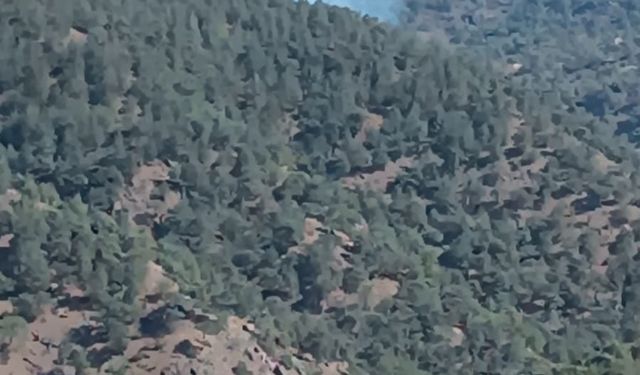 Gaziantep'te Orman Yangını Söndürüldü