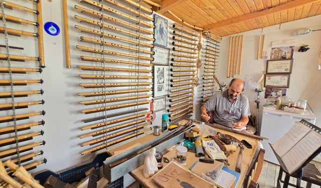 Hatay'da dünyanın en iyi kamışları yetişiyor