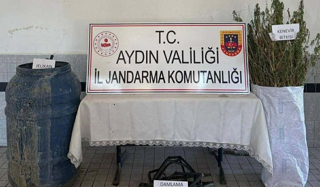 Hint keneviri yetiştiren 5 şüpheliye gözaltı