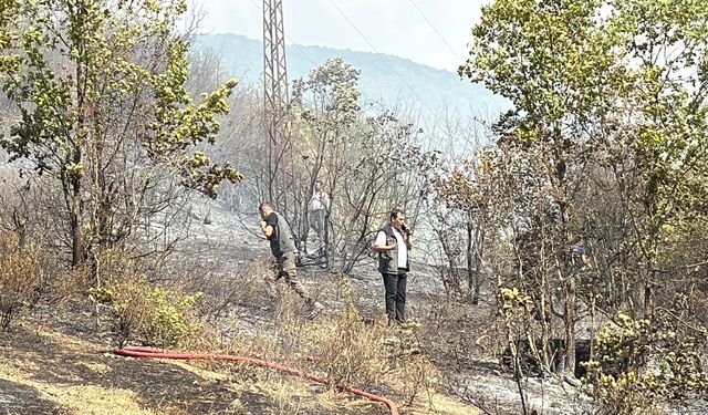 Karabük'te evde çıkan yangın, ormana sıçradı