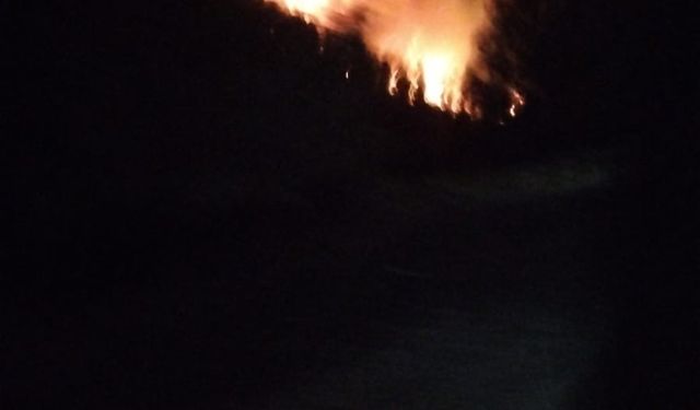 Köyceğiz’de orman yangını