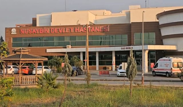 Mardin Nusaybin’de Silahlı Saldırı: 1 Yaralı