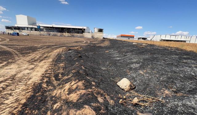 Tekirdağ'da anız yangını kontrol altına alındı