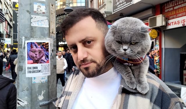 Trabzonsporlu fanatik kedi Tom'a maç vizesi