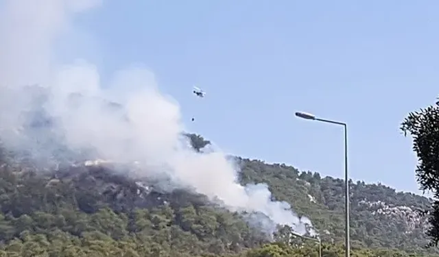 Antalya'da orman yangını
