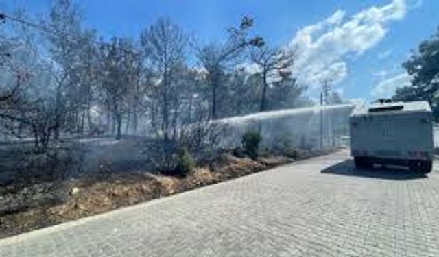 Çanakkale'deki orman yangını