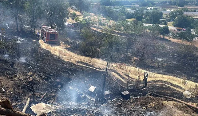 Edirne'de ot yangını çıktı
