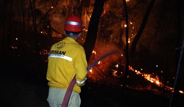 Muğla'daki yangın 63 Saatte Kontrol Altına Alındı!