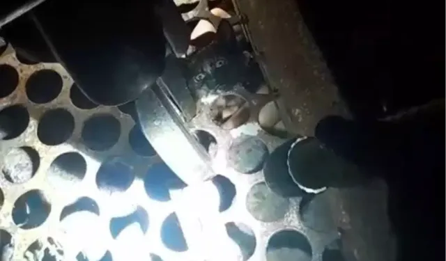 Kozlu’da Mazgala Sıkışan Kedi ‘Mazgal’ Adıyla Hayata Döndü