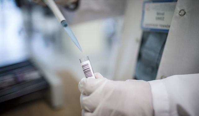 13 Eylül Dünya Sepsis Günü: EKMUD’dan Hayati Uyarı