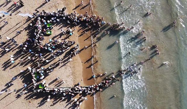 Muğla'da Tedavi Edilen Kaplumbağalar Denize Kavuştu