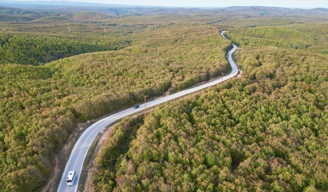 Tekirdağ'da ormanlarda sonbahar renkleri hakim oldu