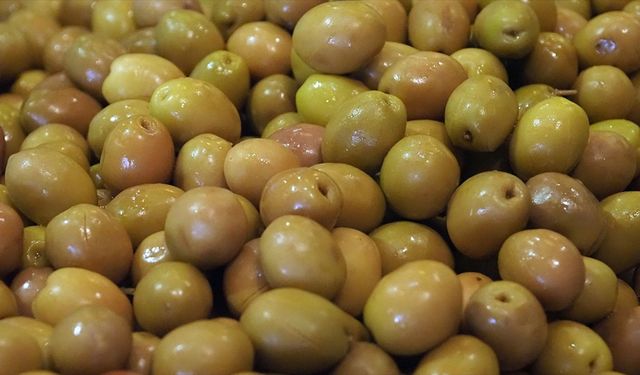 Zeytin ihracatında rekor kırıldı