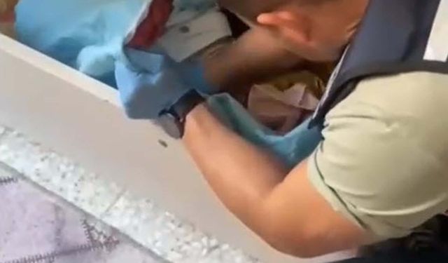 2 ilde suç örgütü operasyonu