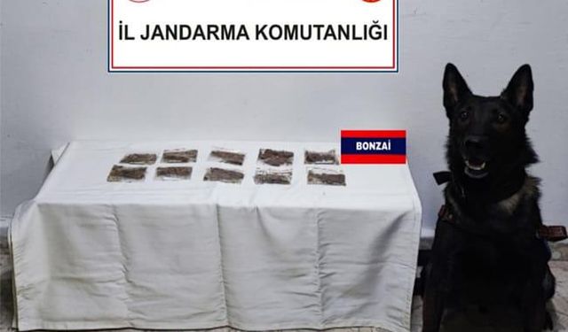 Araçlarda uyuşturucu ele geçirildi!