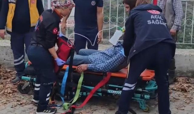 Aydın’da Feci Kaza: Kamyonet Uçuruma Yuvarlandı