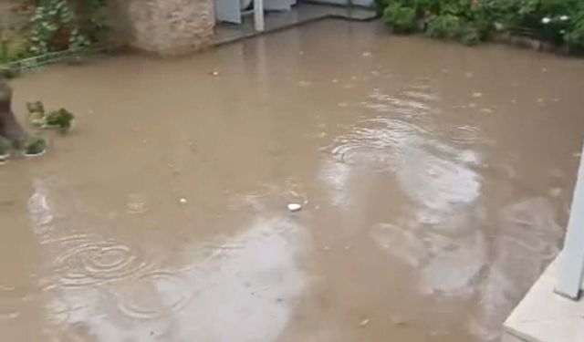 Ayvalık'ta sağanak!