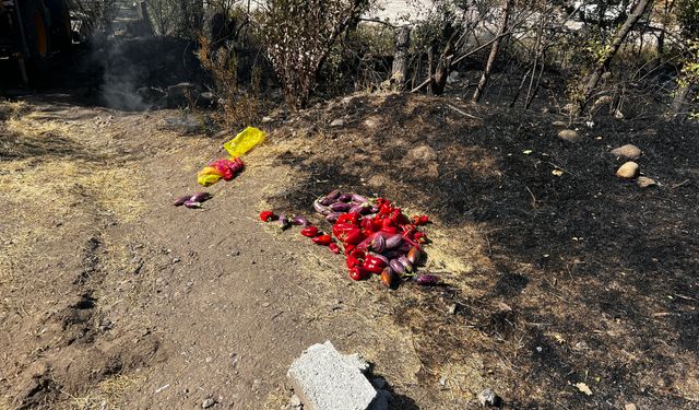 Biber közlerken dağdaki otluk araziyi yaktı