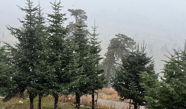 Bolu'ya kar yağdı!