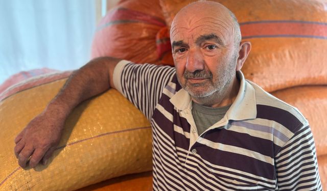 Fındık fiyatları yükselecek mi?